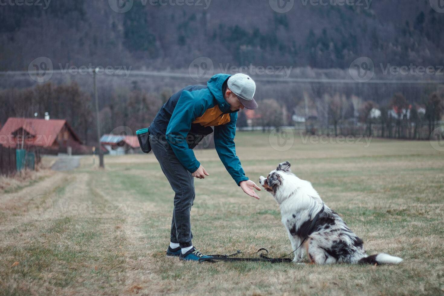 giovane cinologo, un' cane allenatore treni un' a quattro zampe animale domestico australiano pastore nel di base comandi utilizzando tratta. amore fra cane e umano foto