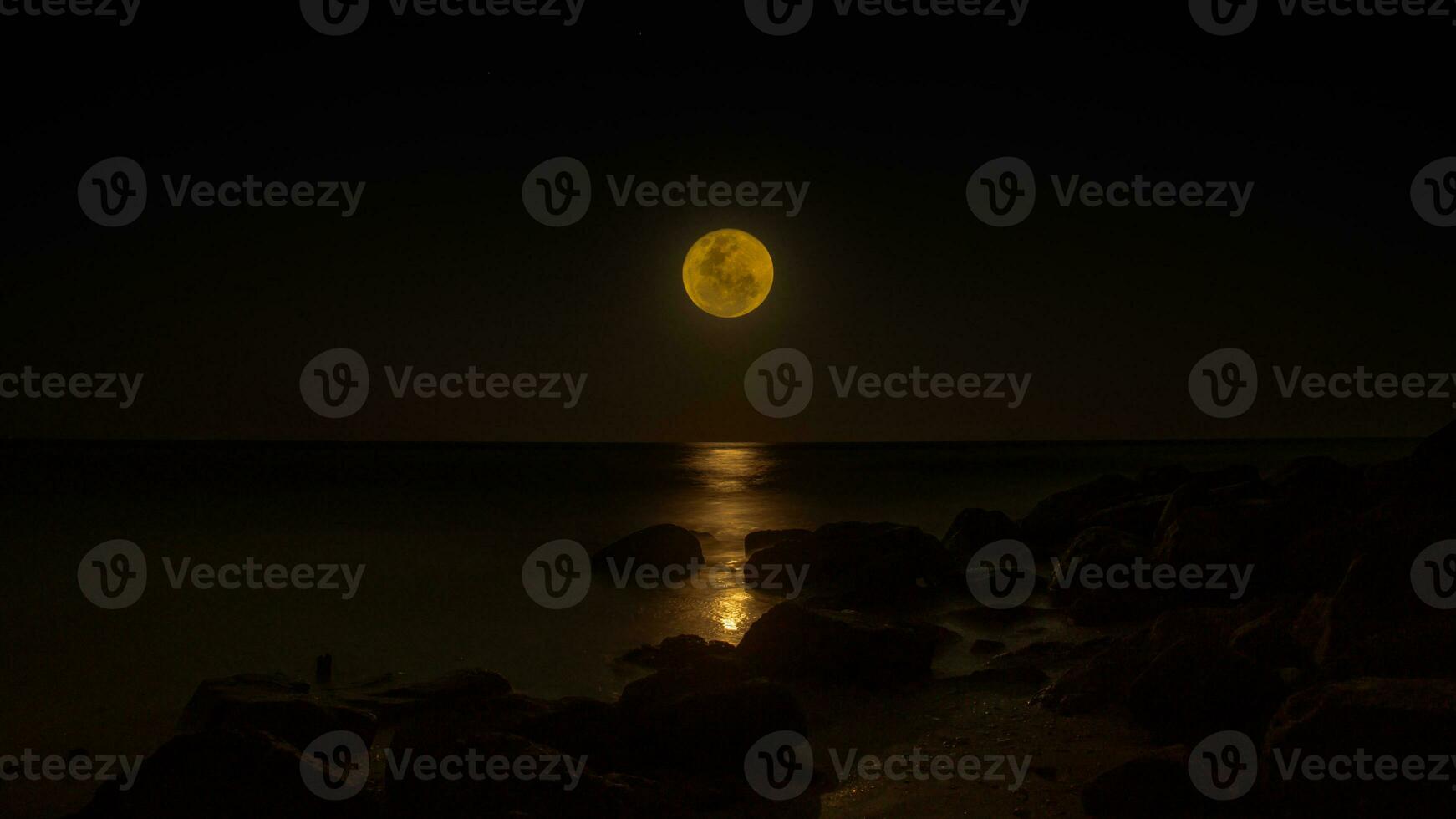 notte cielo e un' pieno Luna su il mare. foto