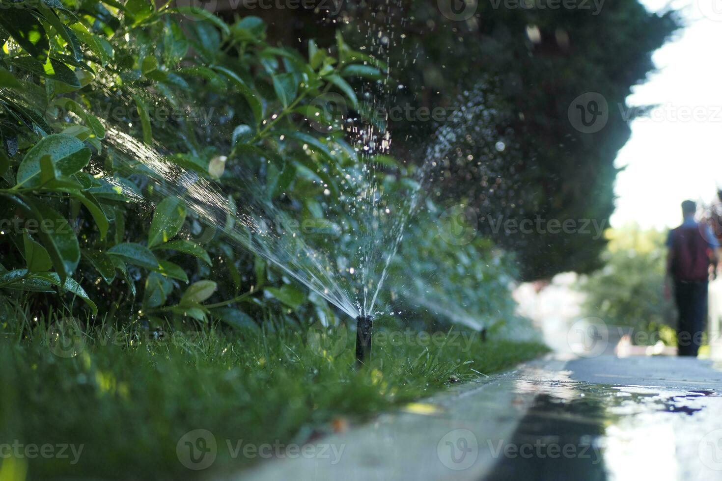 automatico irrigazione erba, giardino prato spruzzatore nel azione. foto