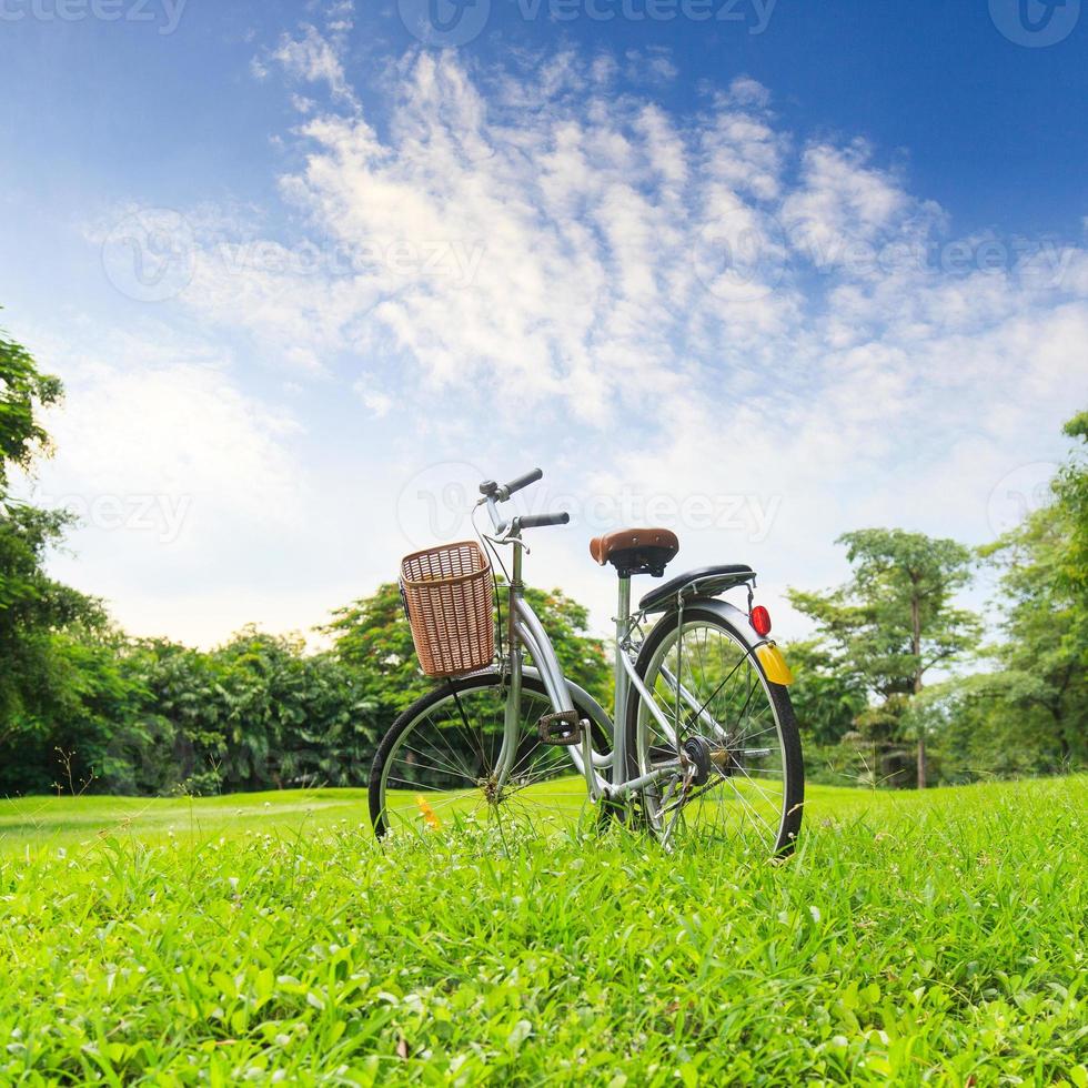 biciclette nel parco foto