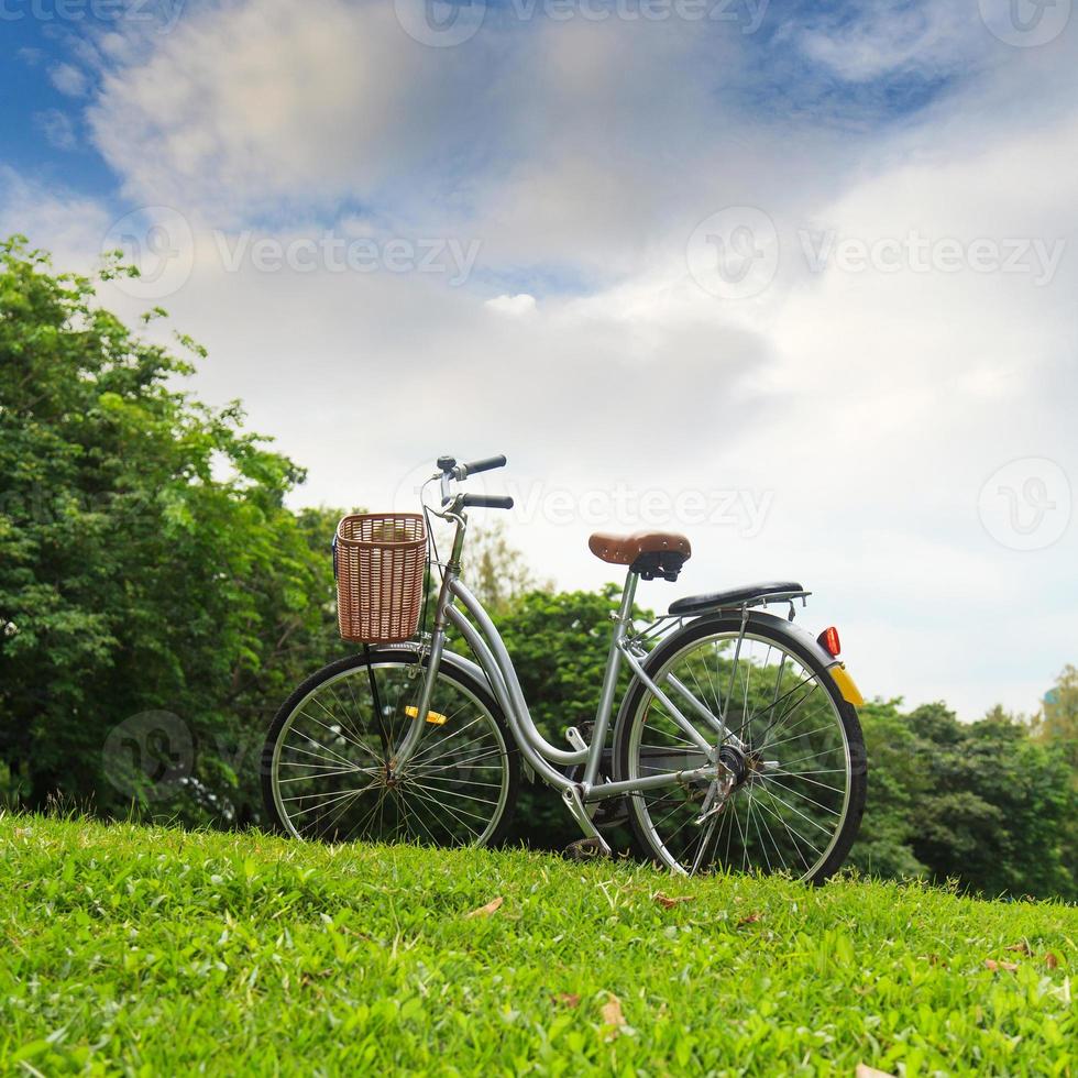 biciclette nel parco foto