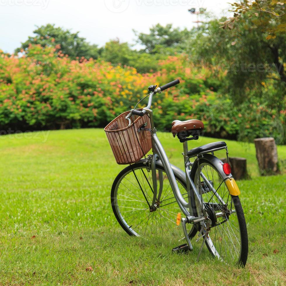 biciclette nel parco foto