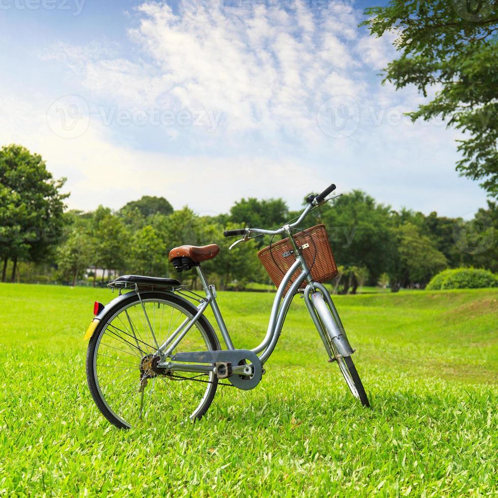 biciclette nel parco foto