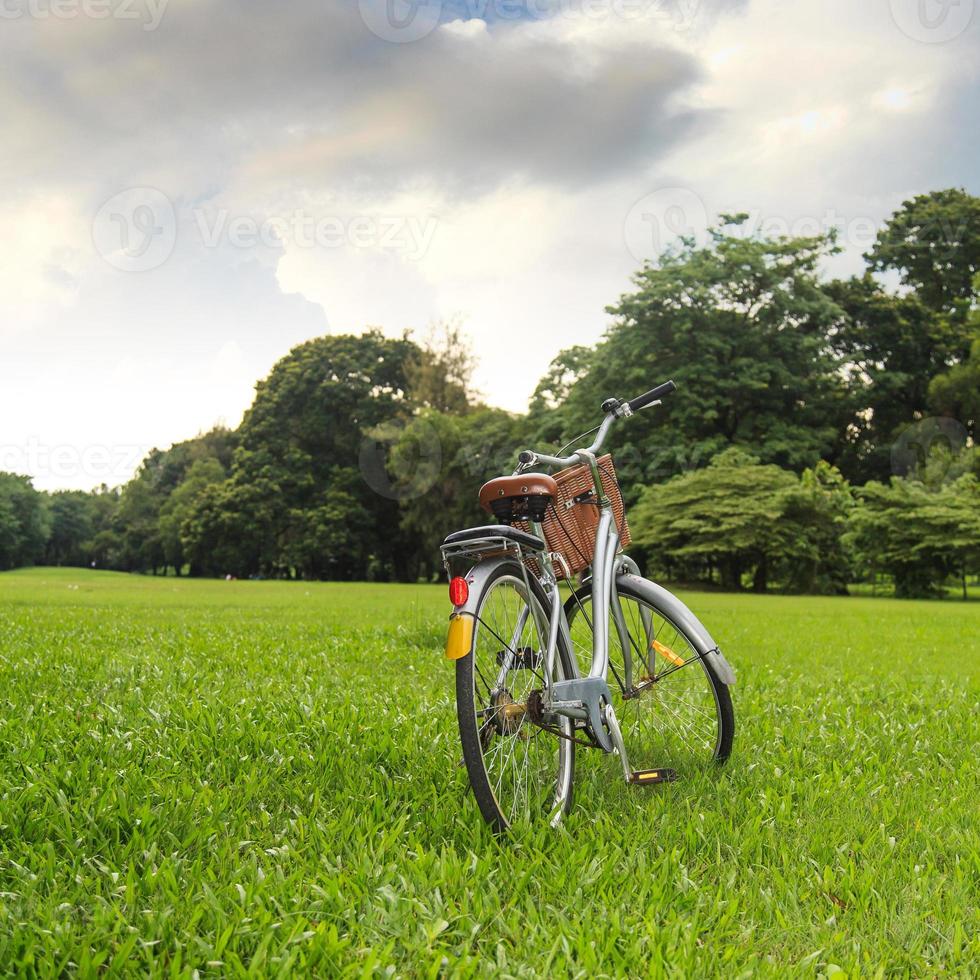 biciclette nel parco foto