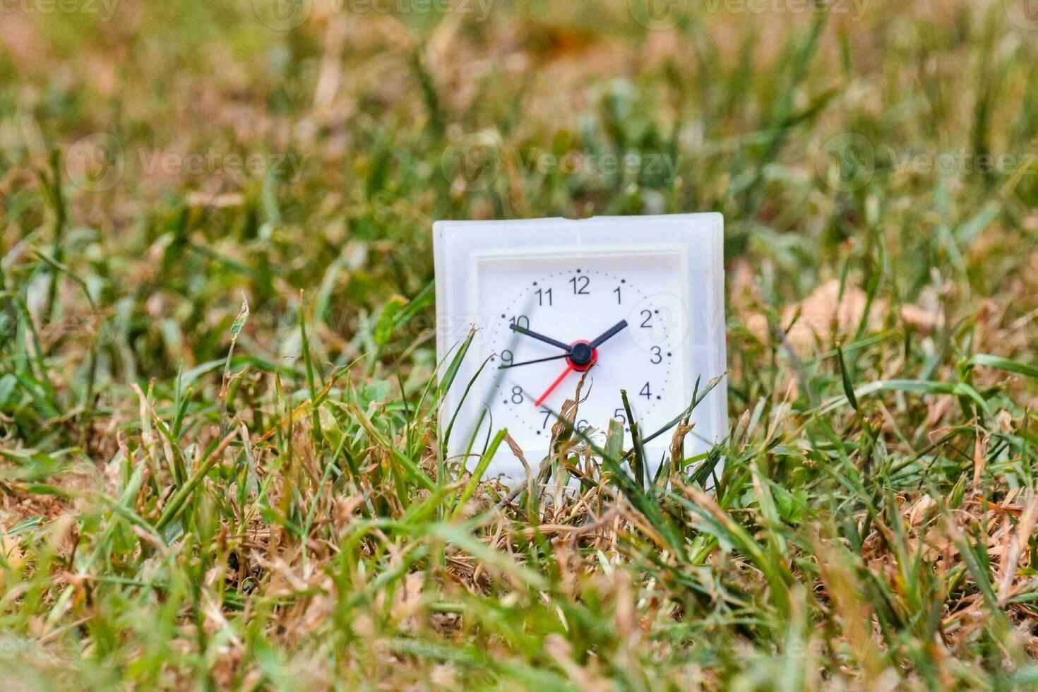 un' piccolo bianca orologio nel il erba foto