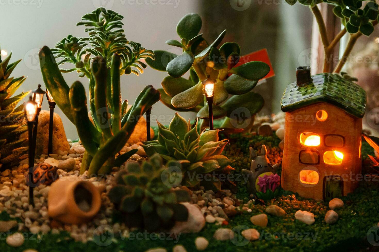 impostato di succulente mini giardino foto