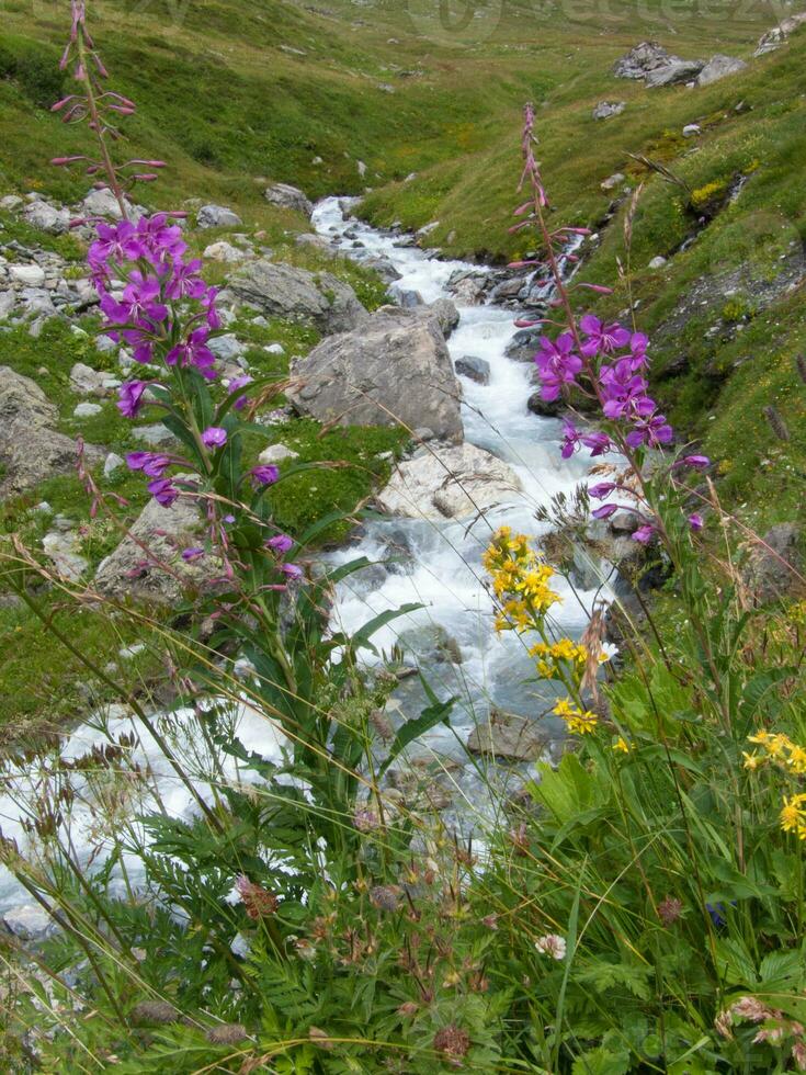 un' ruscello di acqua foto