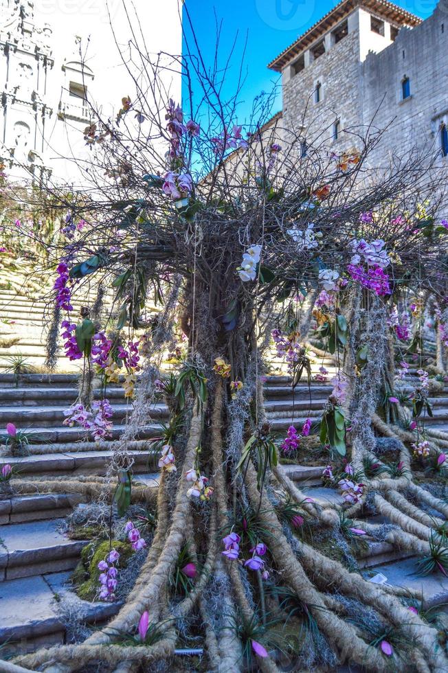 festa dei fiori a girona temps de flors, spagna. 2018 foto