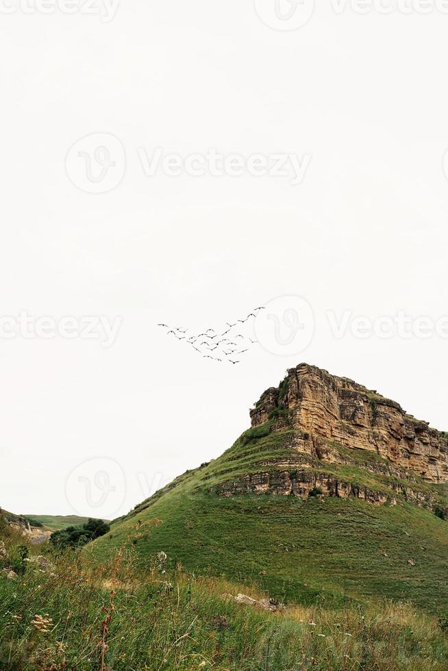 belle colline e montagne verdi foto