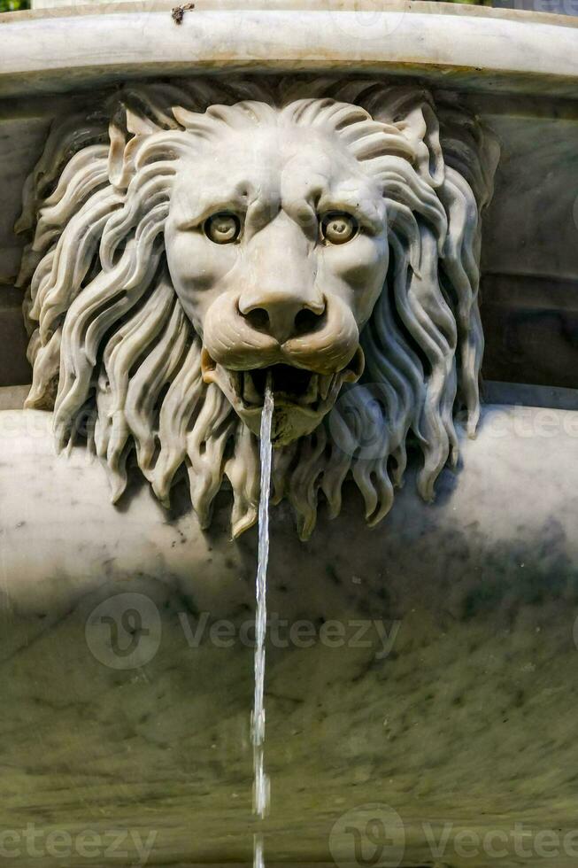 un' Leone testa è su superiore di un' Fontana foto