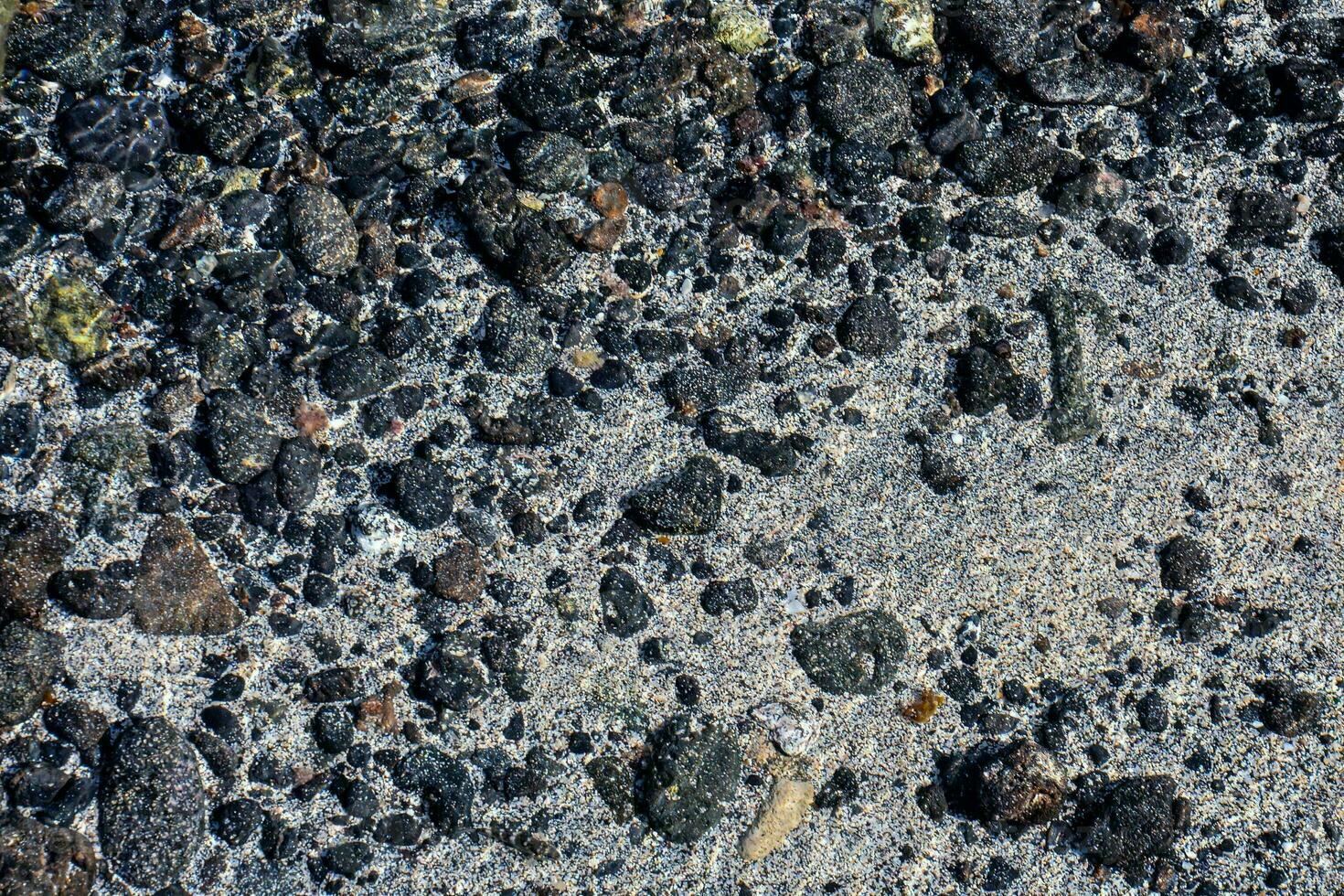 un' vicino su di rocce e ghiaia su il spiaggia foto