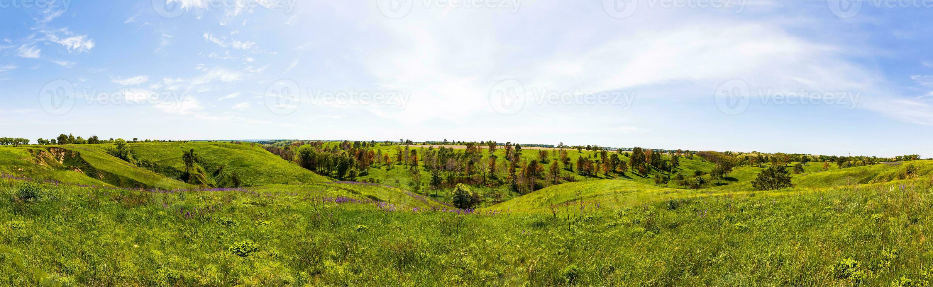 verde fresco erba su blu cielo panorama. pronto per uso foto