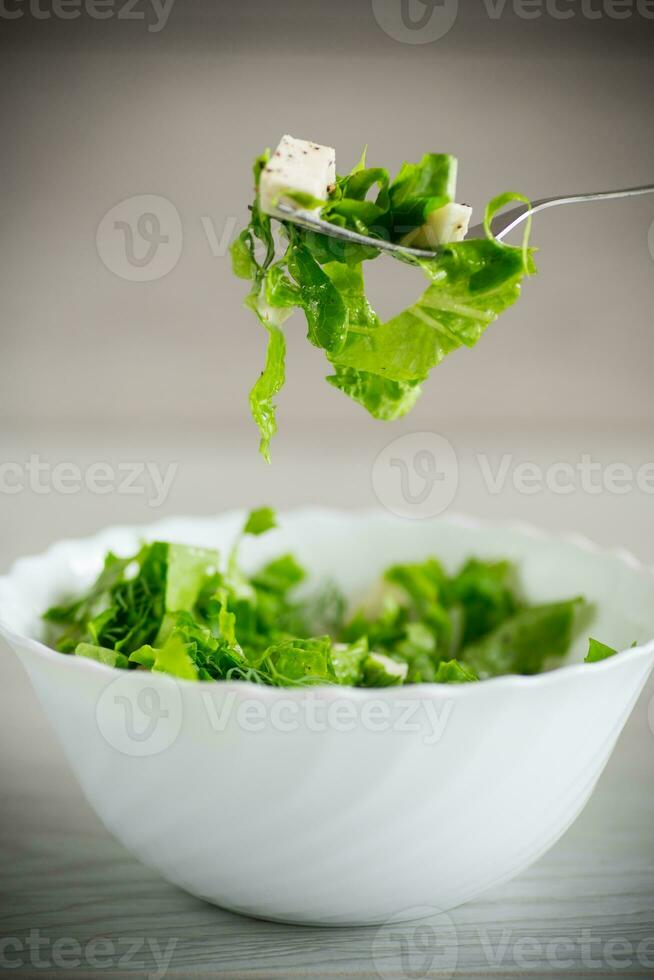 fresco verde lattuga insalata con Mozzarella e erbe aromatiche su un' forchetta foto