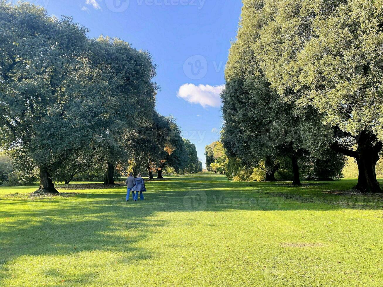 un' Visualizza di un' parco nel Londra mostrando il autunno colori foto