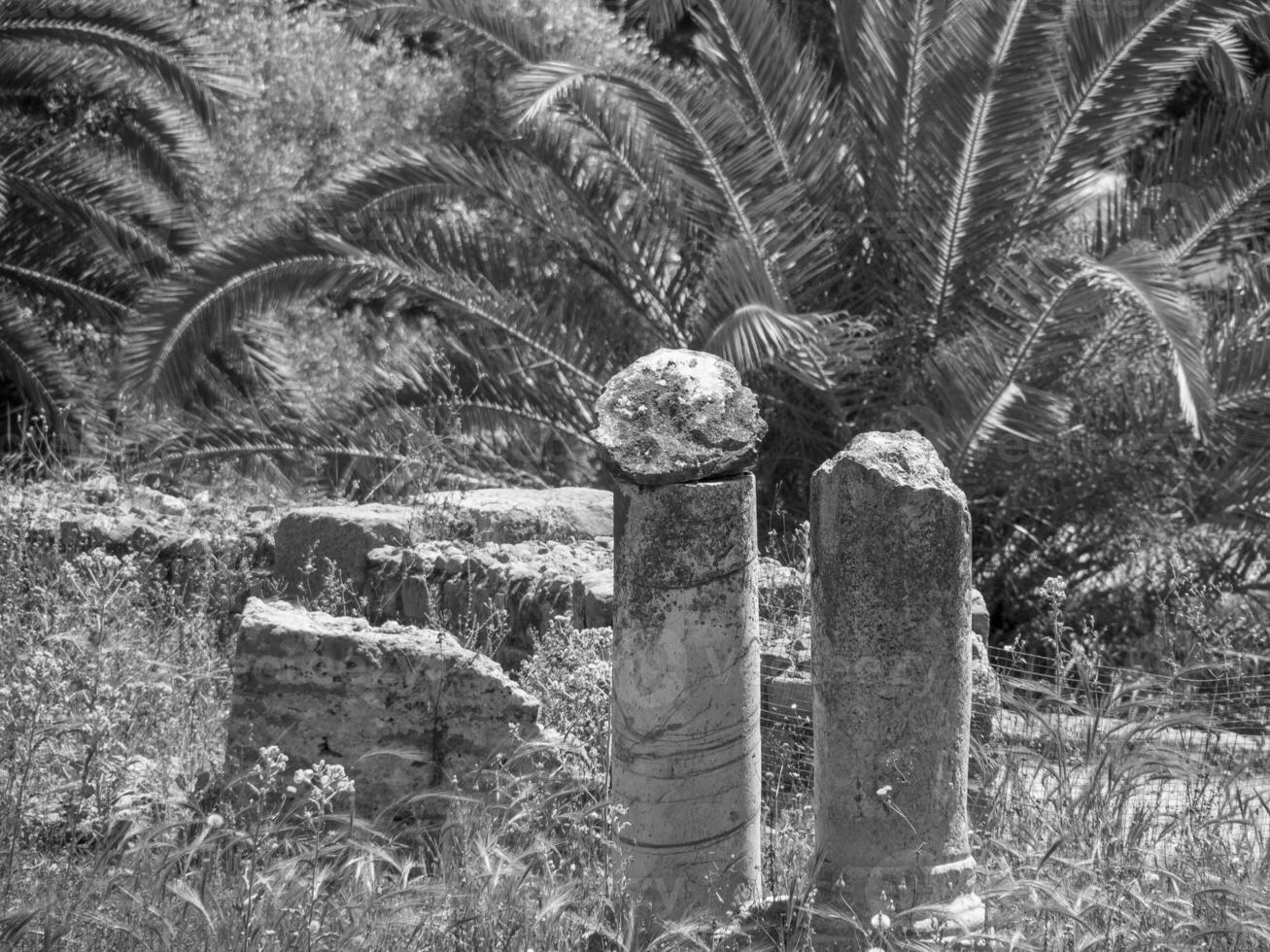 la città di tunisi in tunisia foto