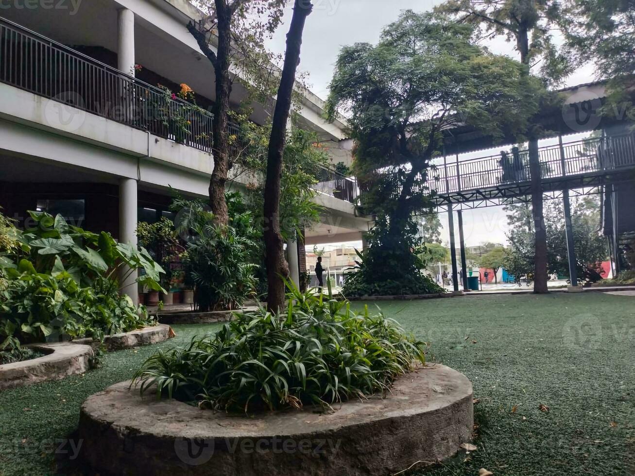 un' cortile con impianti e alberi nel il mezzo di un' edificio foto