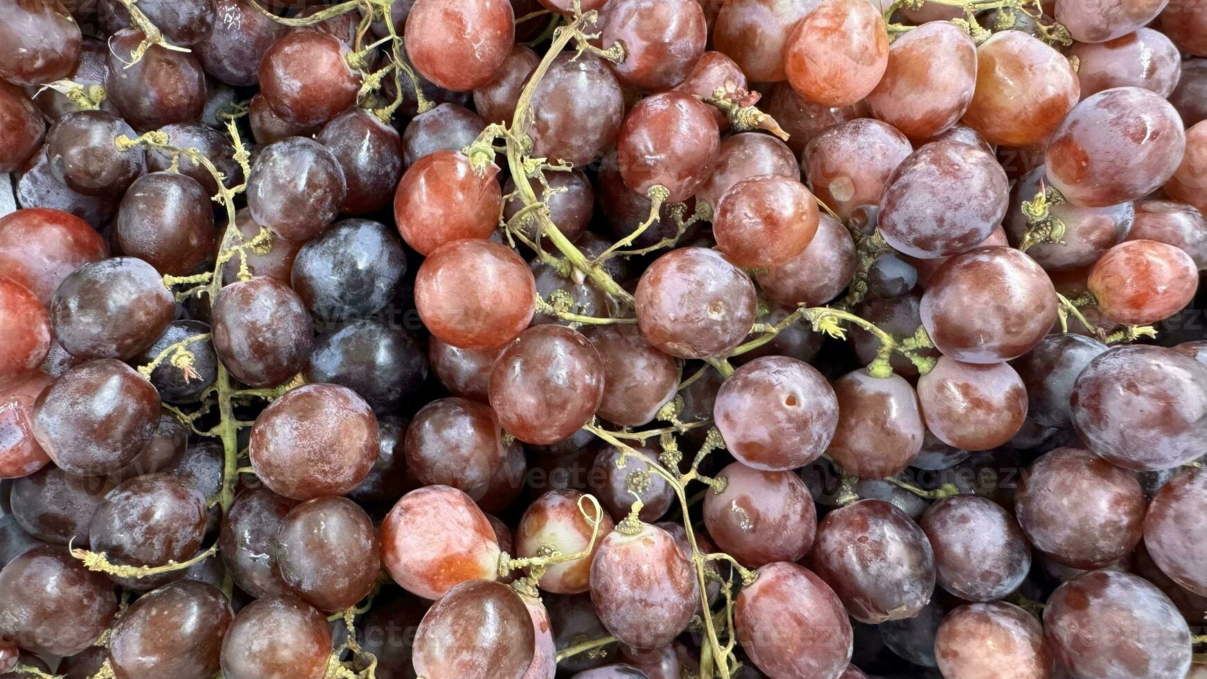 vicino su di crudo biologico dolce rosso uva sfondo, vino uva struttura, salutare frutta rosso vino uva sfondo, superiore Visualizza foto