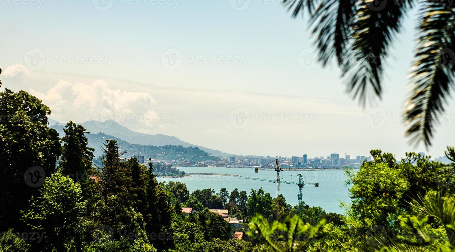 mantello verde vicino a batumi, georgia foto