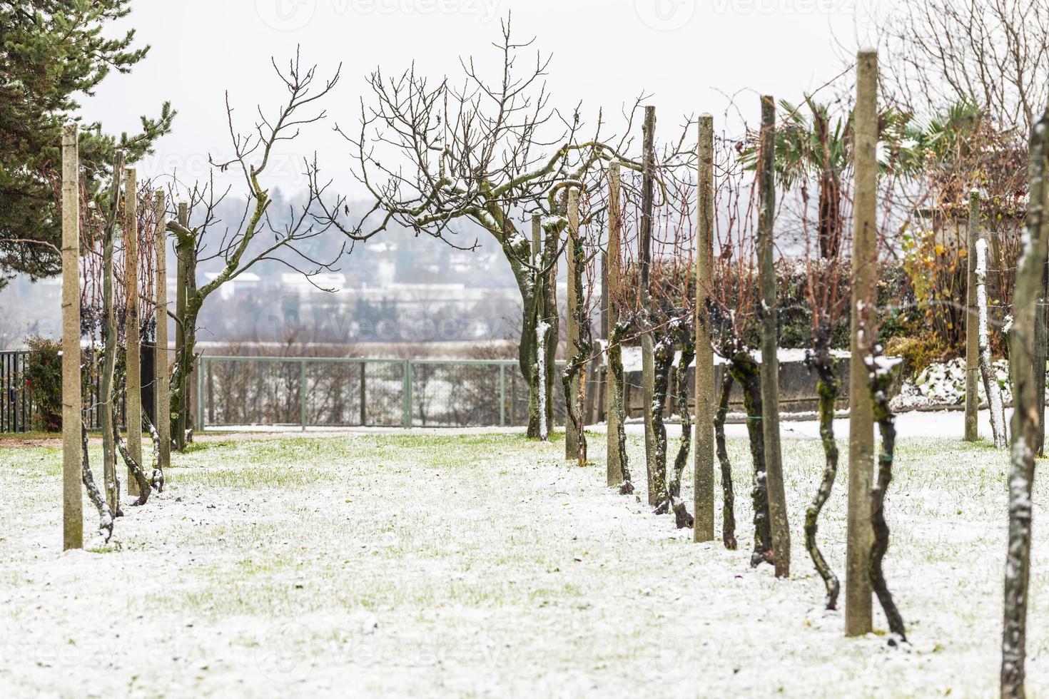 prima neve sui paesi di collina. tra autunno e inverno foto