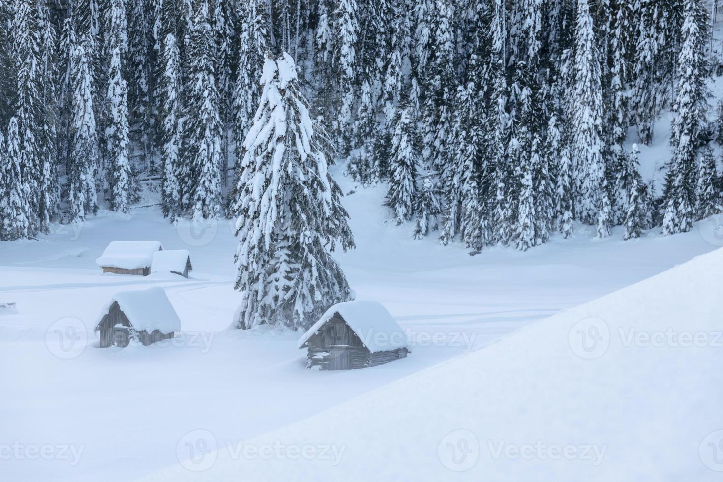 dopo la nevicata. ultime luci del crepuscolo a sappada. magia delle dolomiti foto