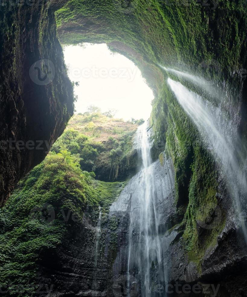 madakaripura cascata che scorre sulla valle rocciosa con piante nel parco nazionale foto