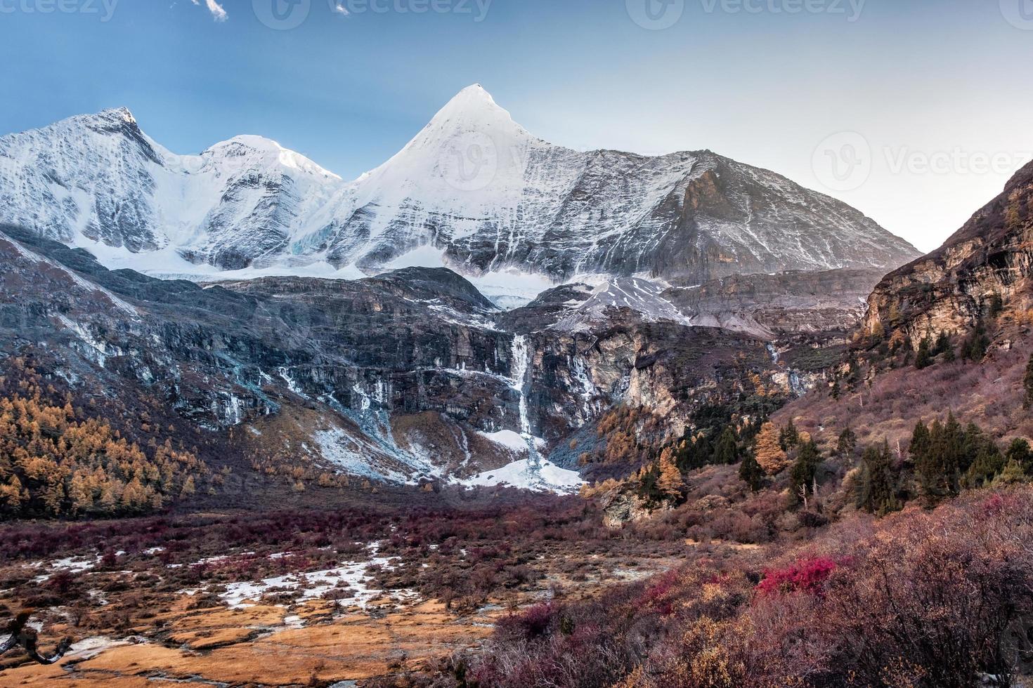 montagna sacra yangmaiyong con foresta di pini autunnali sull'altopiano a yading foto