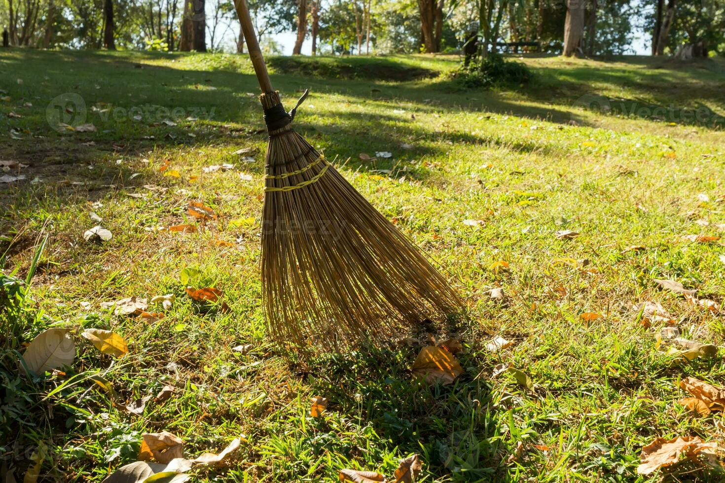 scopa campo nel il giardino. foto