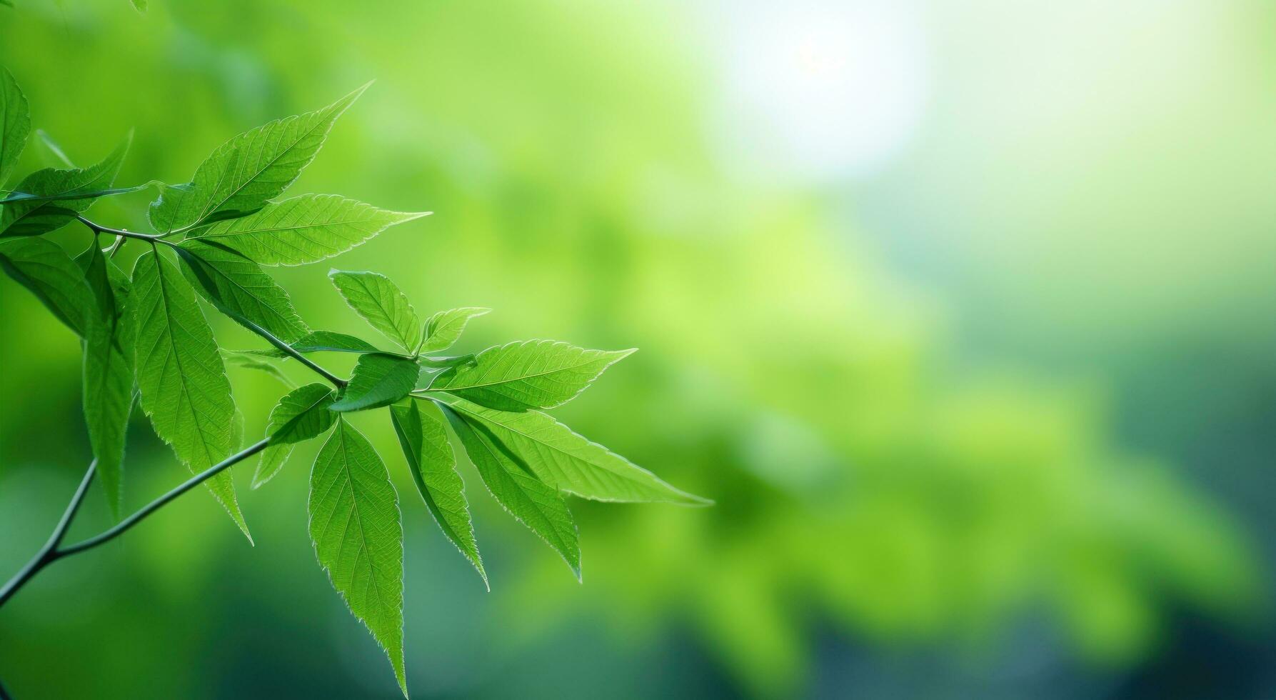 ai generato verde rami su il frondoso rami con luce del sole. foto