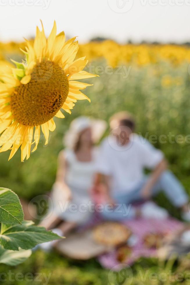 giovane coppia che fa picnic sul campo di girasoli, sfondo sfocato foto