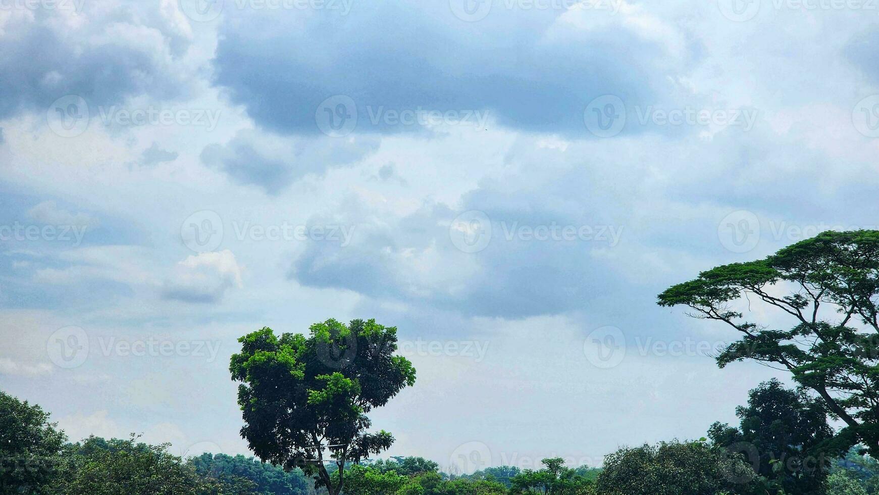 un' campo con alberi e un' cielo con nuvole foto