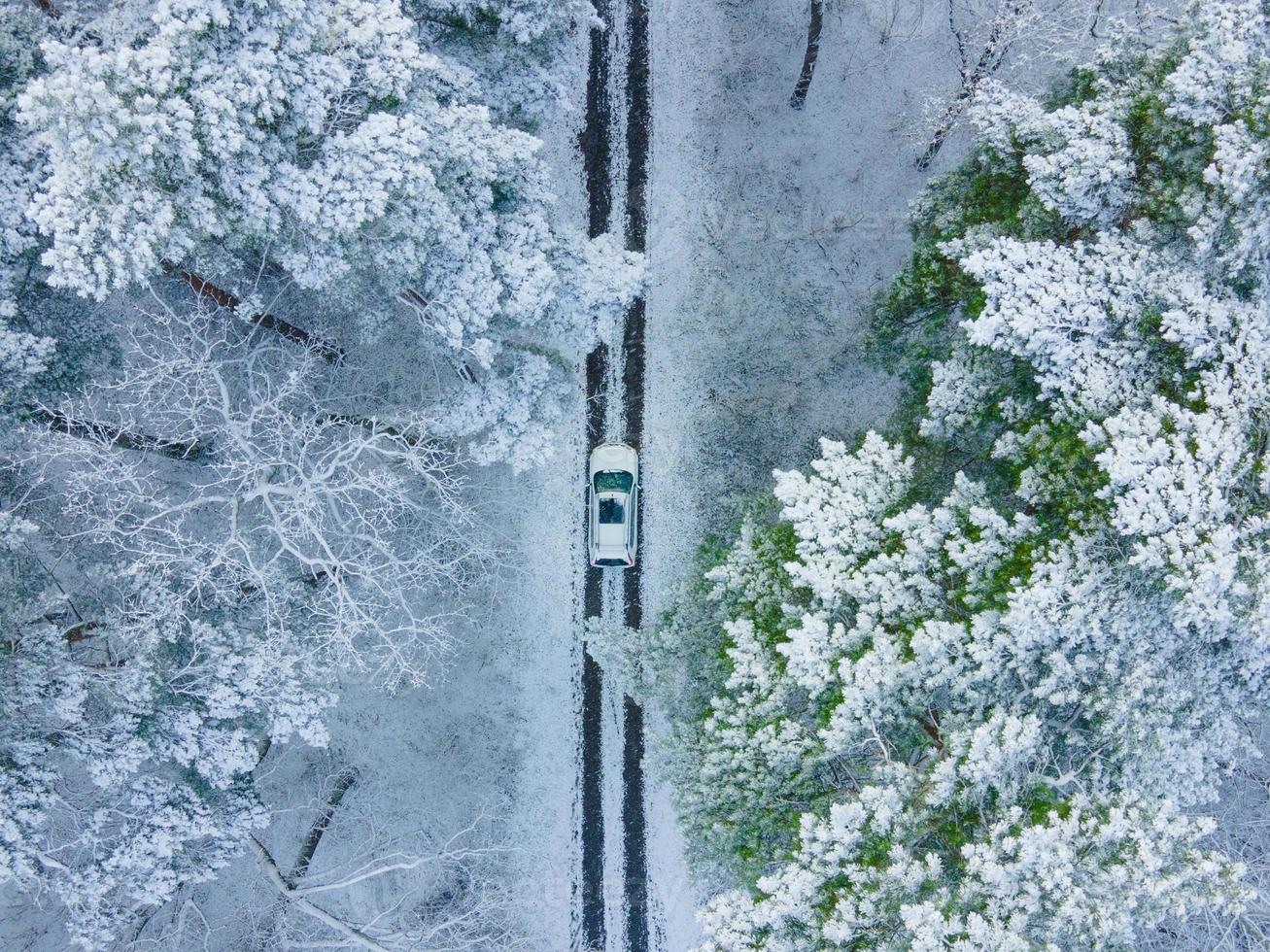 vista dell'auto bianca dall'alto nella foresta invernale ghiacciata foto