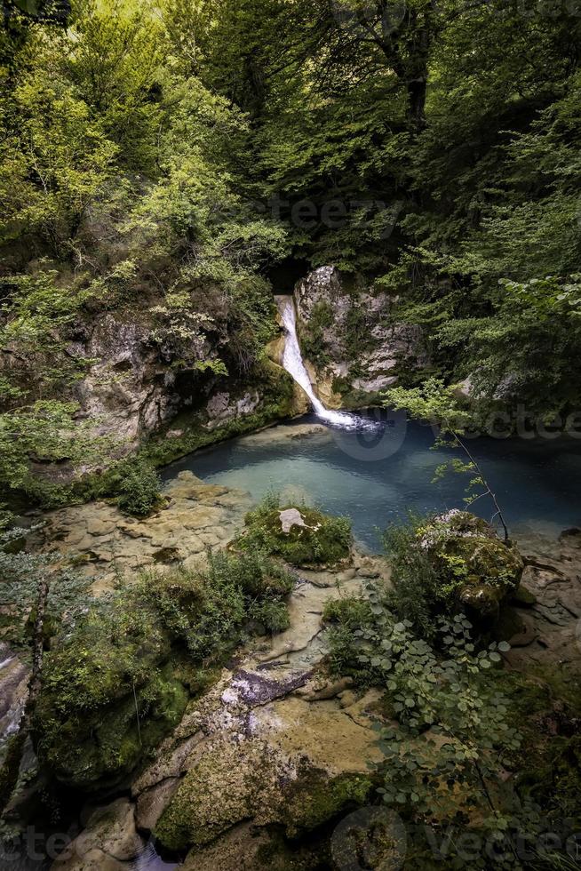 cascata in una foresta selvaggia foto