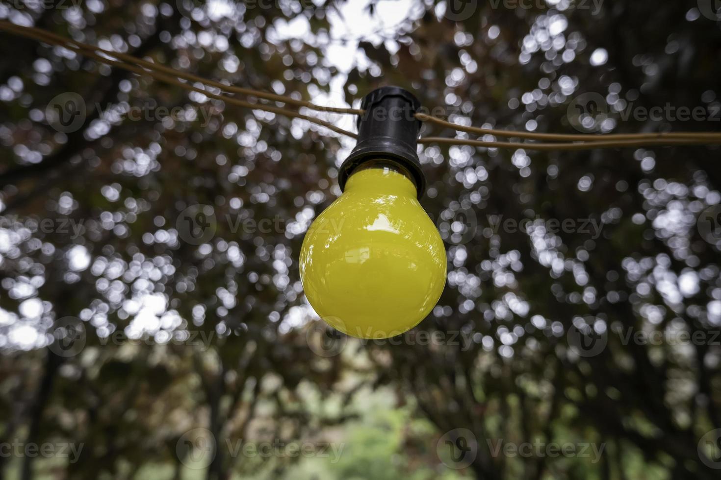 lampadina colorata foto