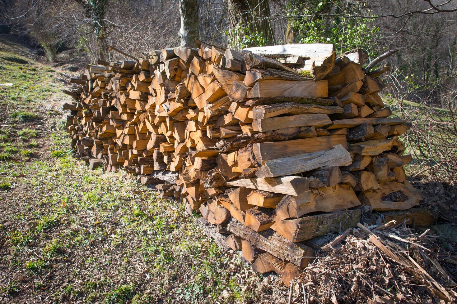 legna da ardere impilata sulle alpi svizzere foto