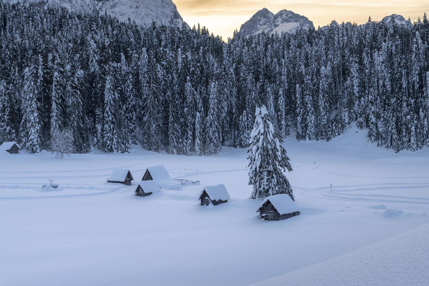 dopo la nevicata. ultime luci del crepuscolo a sappada. magia delle dolomiti foto