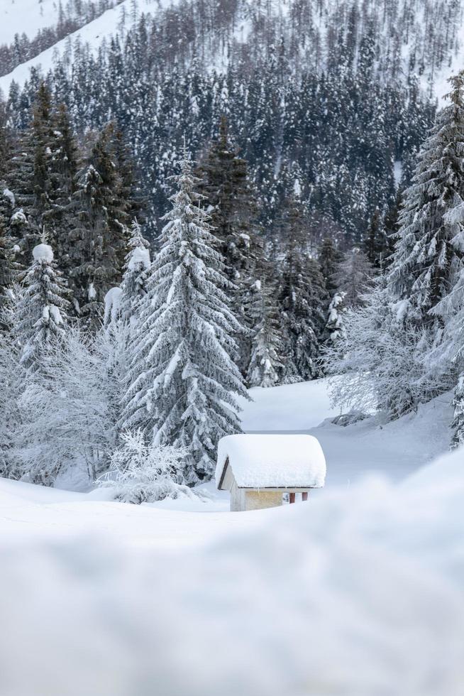 dopo la nevicata. ultime luci del crepuscolo a sappada. magia delle dolomiti foto