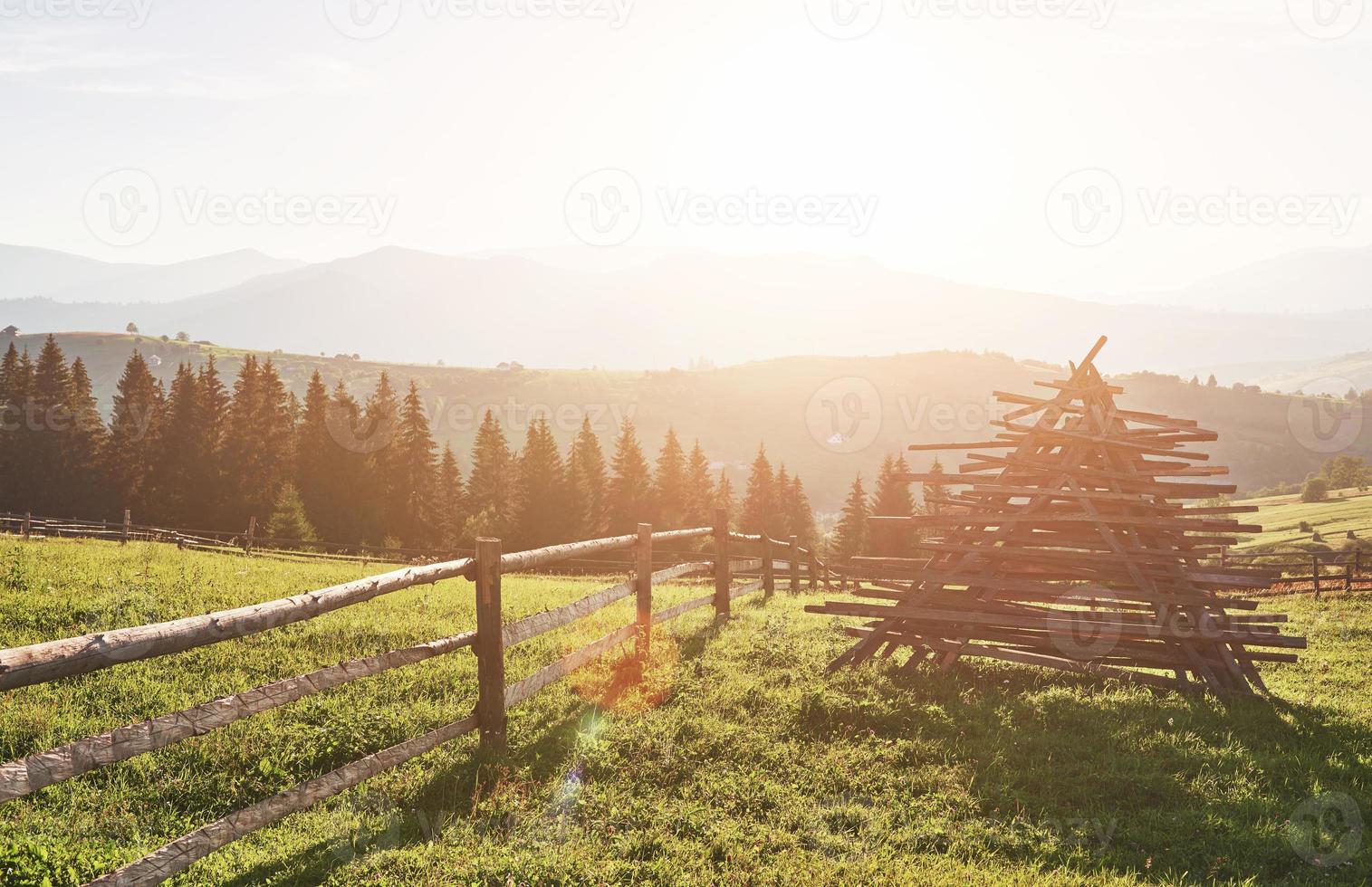 bellissimo paesaggio di montagna estivo al sole.vista del prato recintato e mucche al pascolo su di esso foto