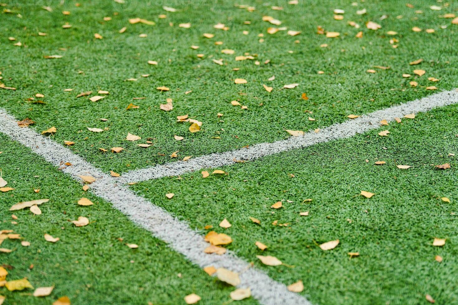 artificiale erba, gli sport campo copertina foto