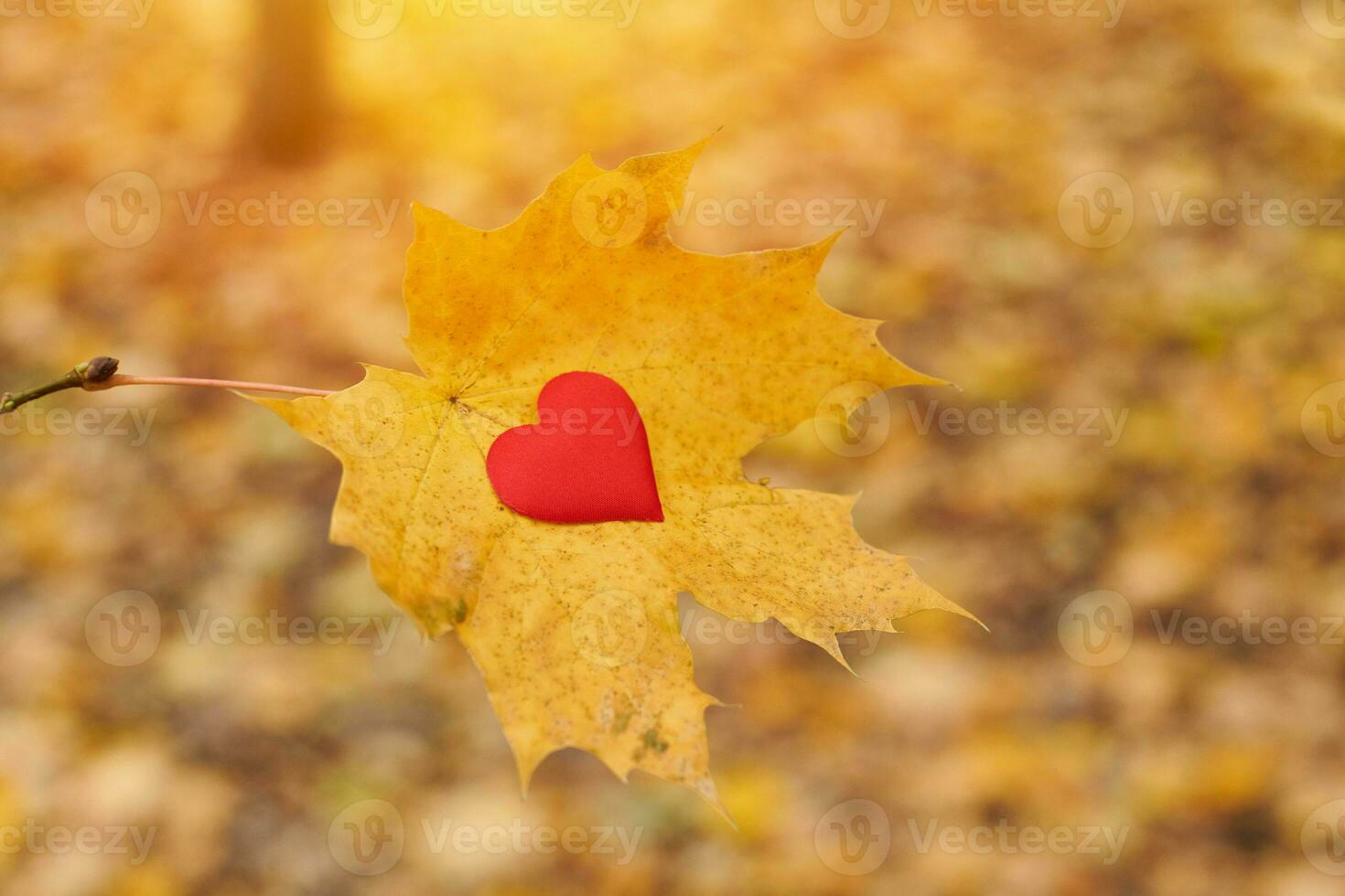 Aperto puro cuore simbolo, copia spazio foto