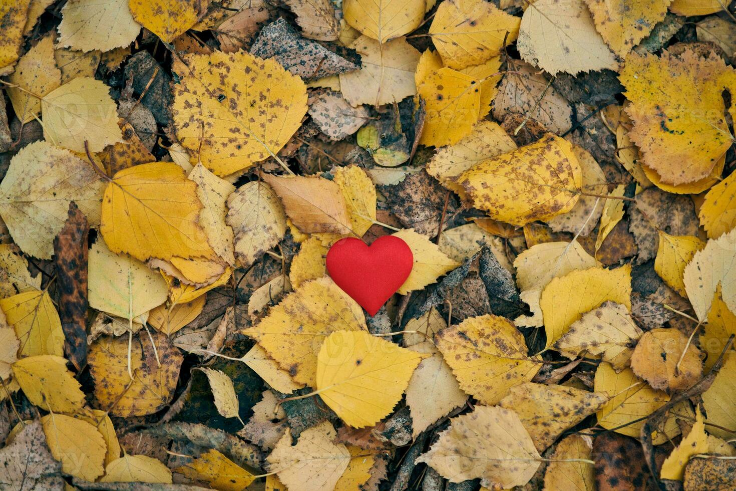 concetto di amore o solitudine non corrisposto e unilaterale. foto