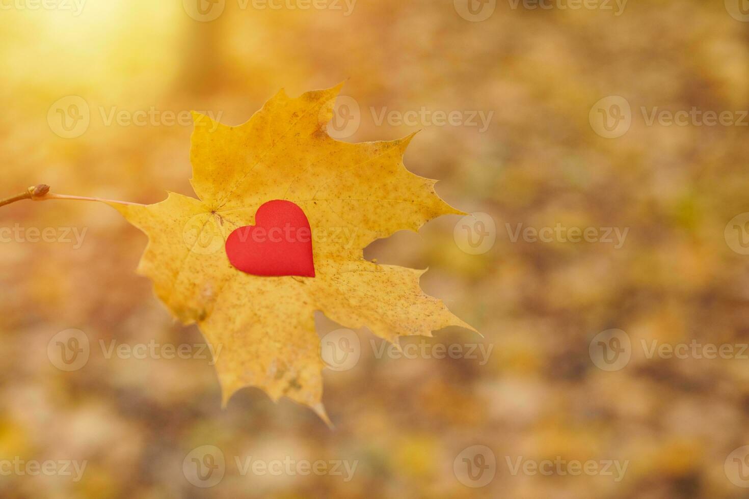 Aperto puro cuore simbolo, copia spazio foto