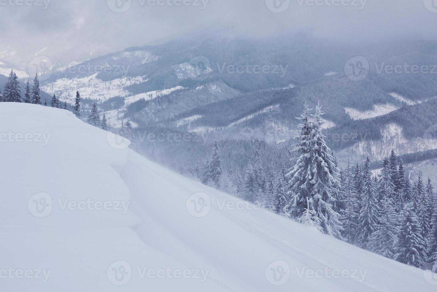 grande foto invernale nelle montagne dei Carpazi con abeti innevati. scena all'aperto colorata, concetto di celebrazione di felice anno nuovo. foto post-elaborata in stile artistico