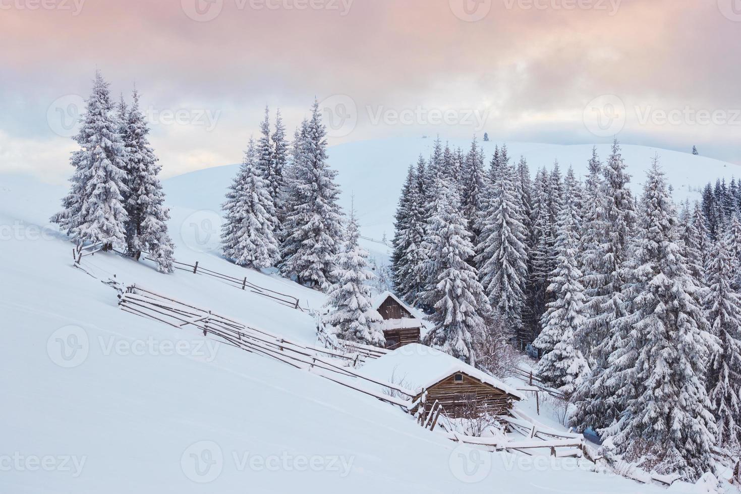 accogliente capanna di legno in alta montagna innevata. grandi pini sullo sfondo. pastore kolyba abbandonato. giornata nuvolosa. monti carpazi, ucraina, europa foto