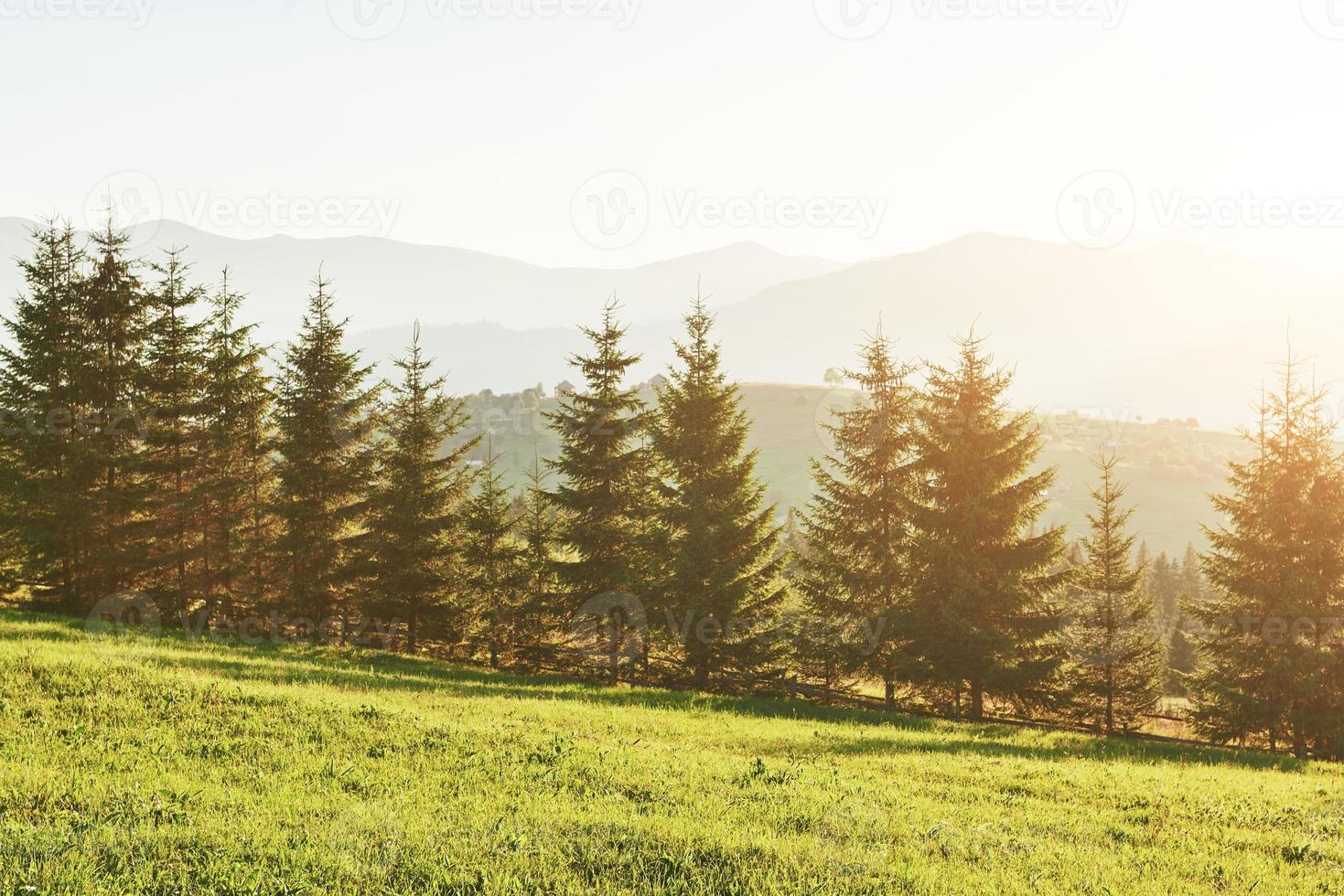 bellissimo paesaggio autunnale dell'alba nelle montagne dei carpazi, viaggio in europa, ucraina occidentale, parco nazionale dei carpazi, mondo meraviglioso, sfondo del paesaggio di carta da parati foto