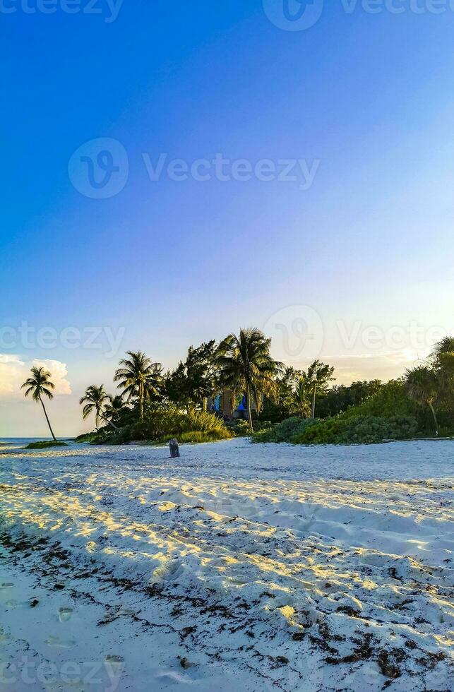 tropicale caraibico spiaggia chiaro turchese acqua playa del Carmen Messico. foto