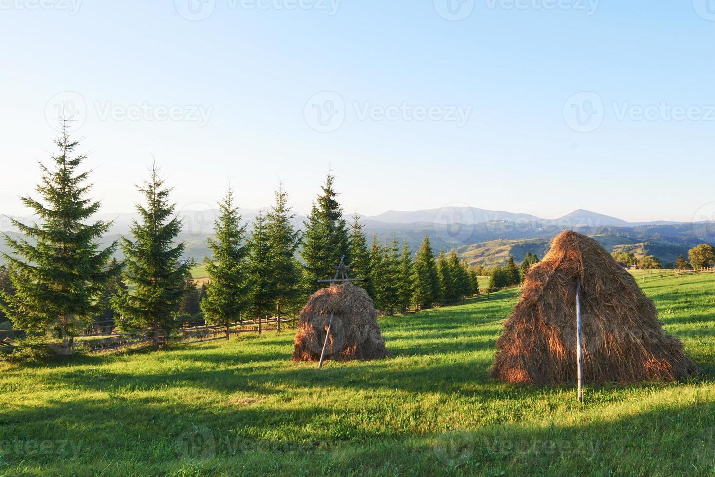 pagliaio al tramonto. prato, pezzo di prato, in particolare quello utilizzato per il fieno. monti carpazi, ucraina foto