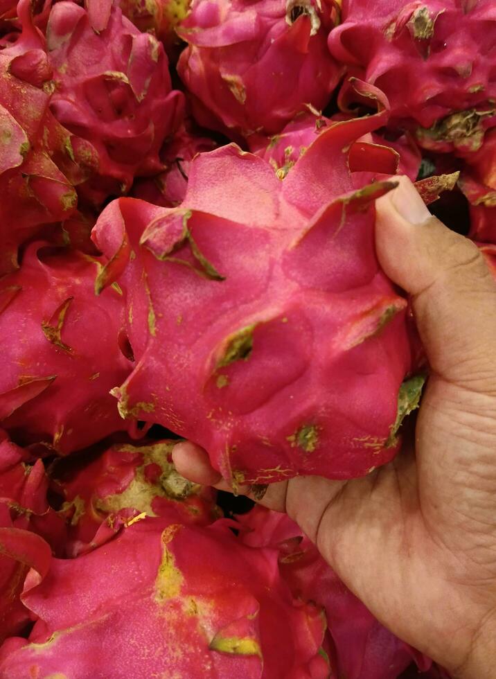 natura Immagine. tropicale frutta, il avvicinamento sfondo di fresco rosa Drago frutta foto