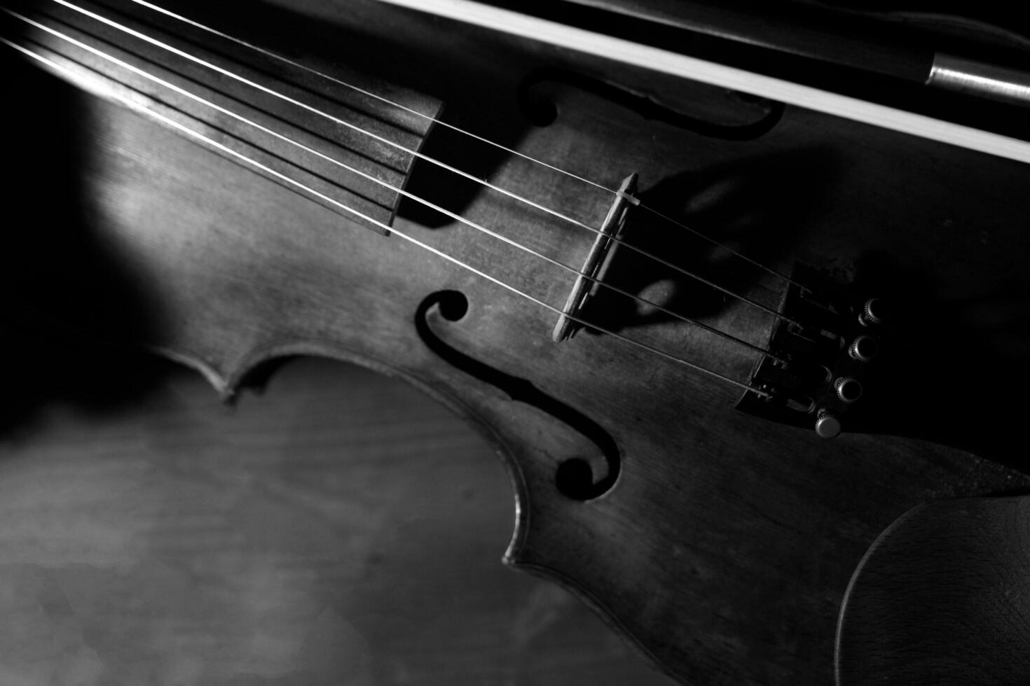 vicino Visualizza di un' violino stringhe e ponte foto