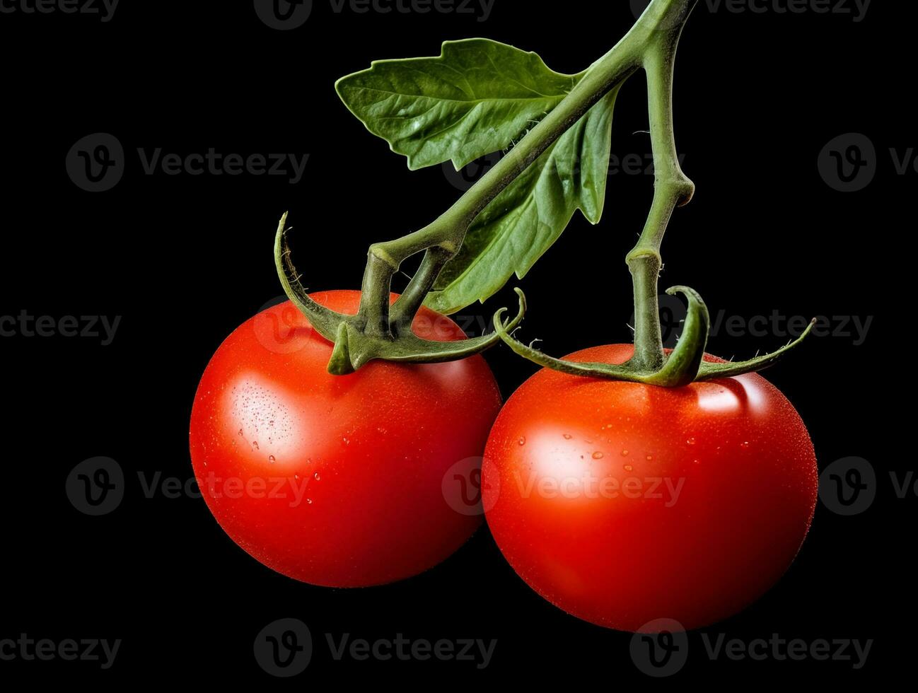 Due pomodori su ramo con le foglie al di sopra di nero sfondo con copia spazio, ai generato foto