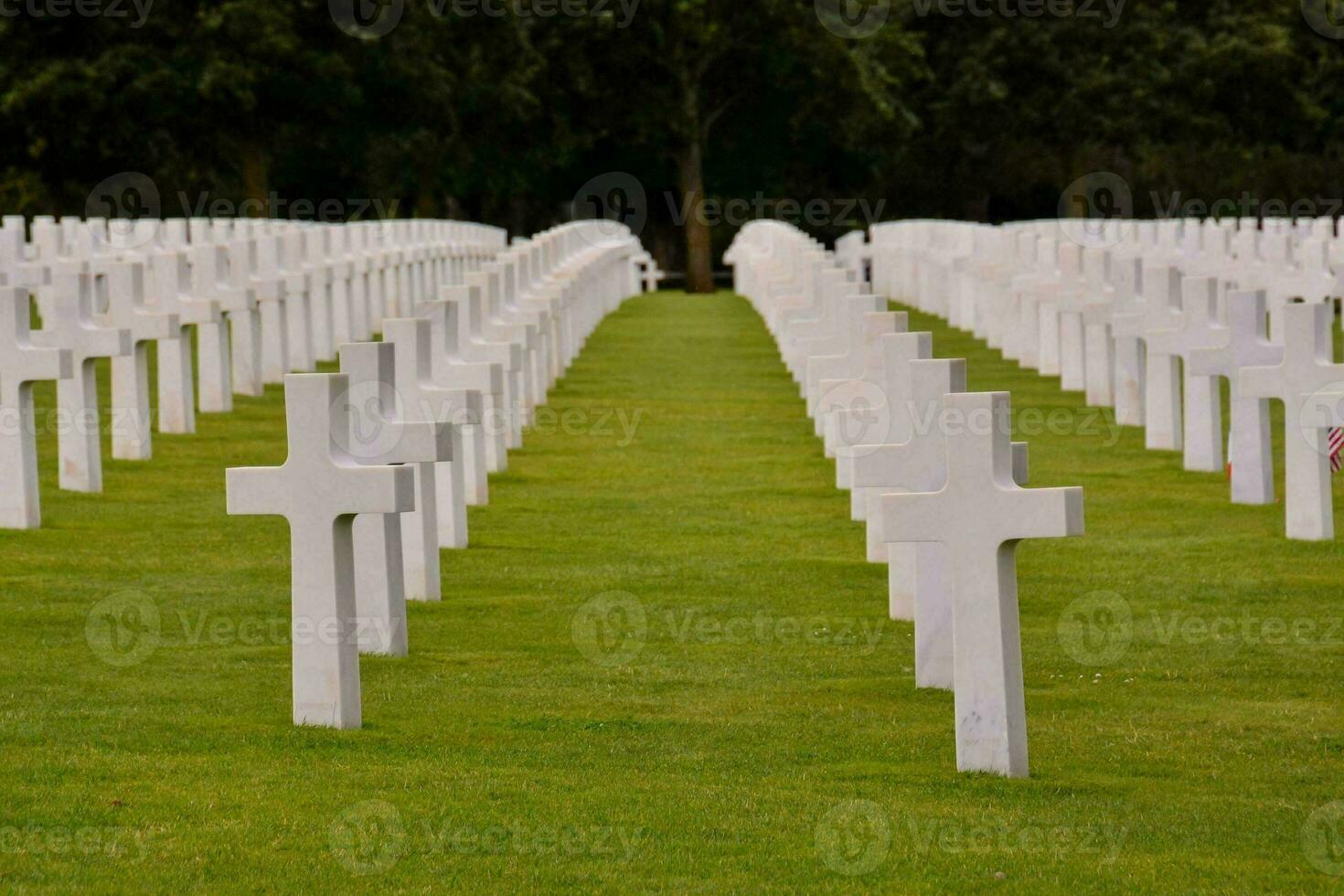 righe di bianca croci nel un' erboso campo foto